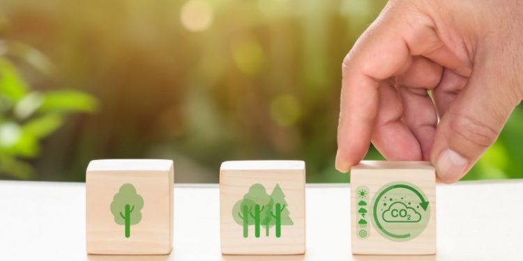 Gesundes Wohnen: Wie umweltfreundliche Baumaterialien dein Zuhause verbessern