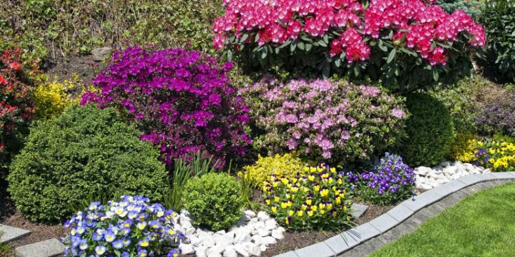 Frühlingserwachen im Garten: Pflegetipps für eine blühende Saison