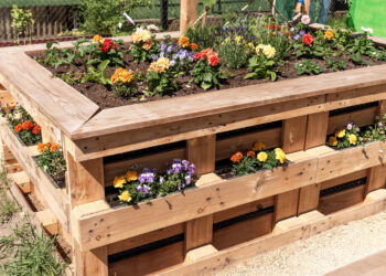 Hochbeet aus Paletten: Nachhaltig und kostengünstig selber machen