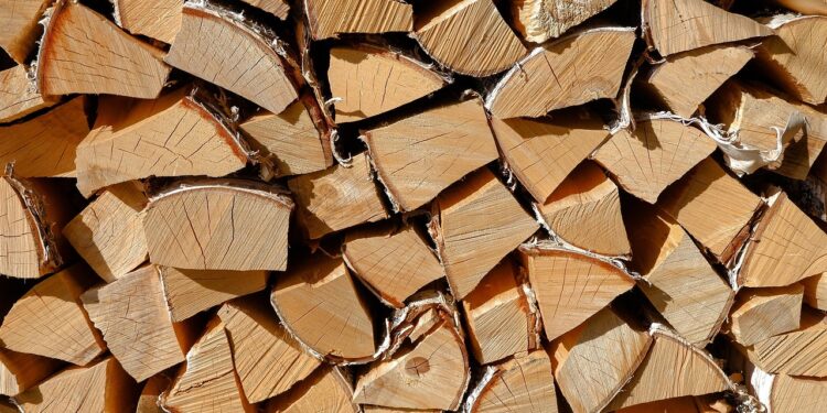 Heizen mit Holz: Vorteile für Umwelt und Geldbeutel