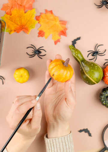 Herbstdeko selber machen und kombinieren: Ideen für ein gemütliches Zuhause